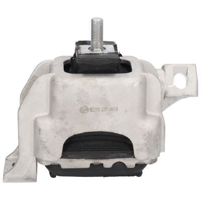 Variklio montavimas BIRTH 52319