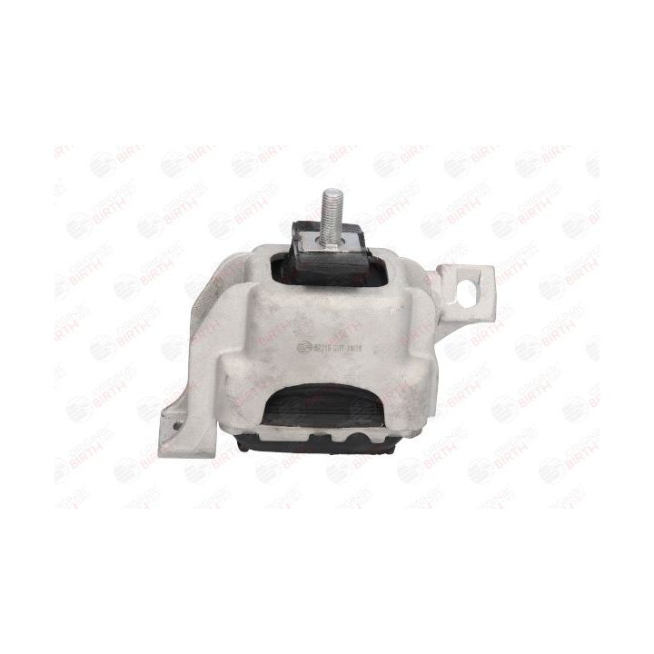 Variklio montavimas BIRTH 52319