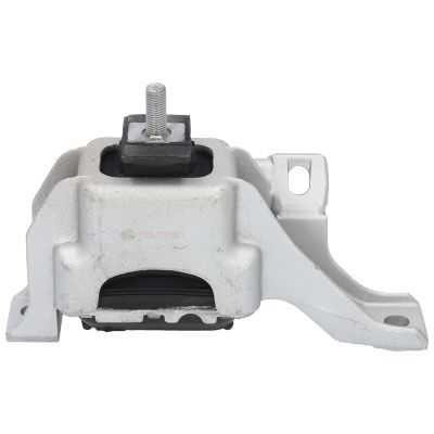 Variklio montavimas BIRTH 52320