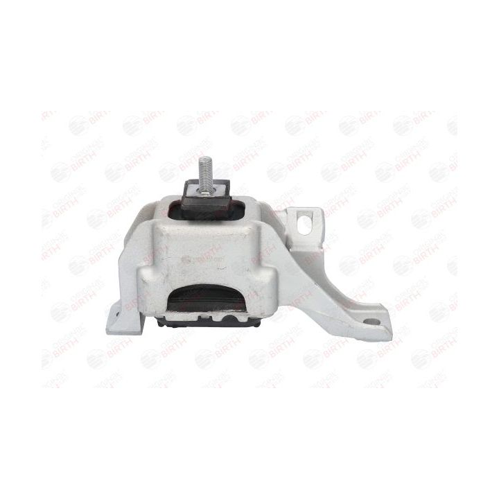 Variklio montavimas BIRTH 52320