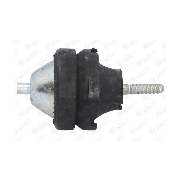 Variklio montavimas BIRTH 52333