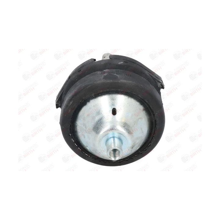 Variklio montavimas BIRTH 52333