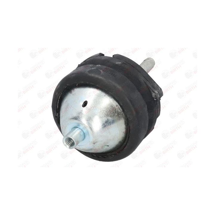 Variklio montavimas BIRTH 52333