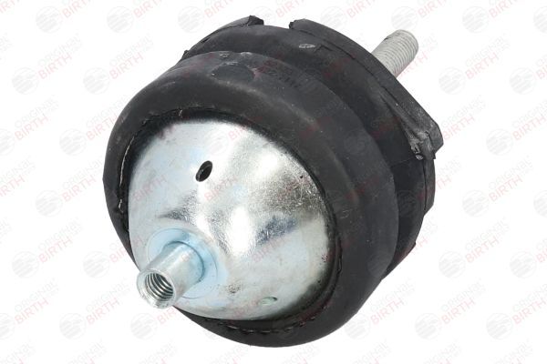 Variklio montavimas BIRTH 52333