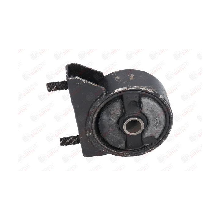 Variklio montavimas BIRTH 52355