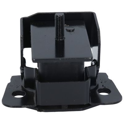 Variklio montavimas BIRTH 52358