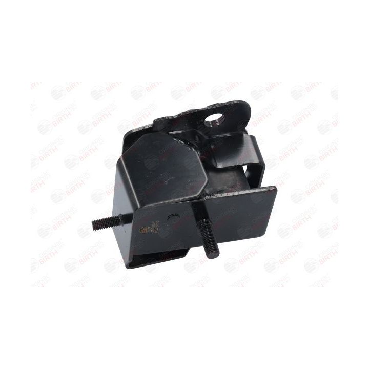 Variklio montavimas BIRTH 52358