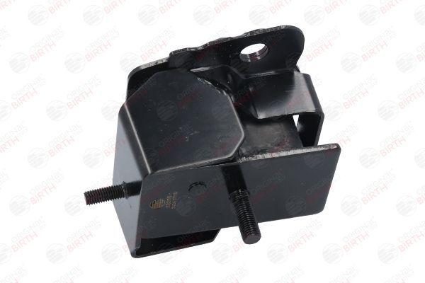 Variklio montavimas BIRTH 52358