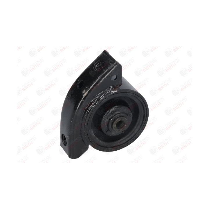 Variklio montavimas BIRTH 52362