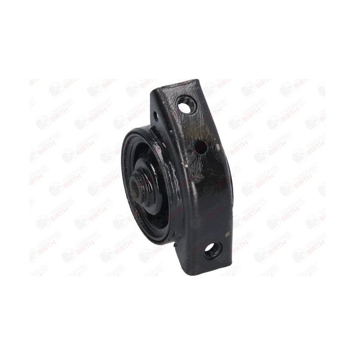 Variklio montavimas BIRTH 52362