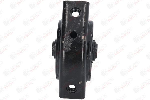 Variklio montavimas BIRTH 52362