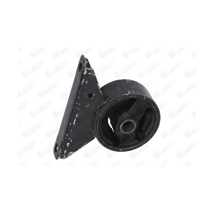 Variklio montavimas BIRTH 52363