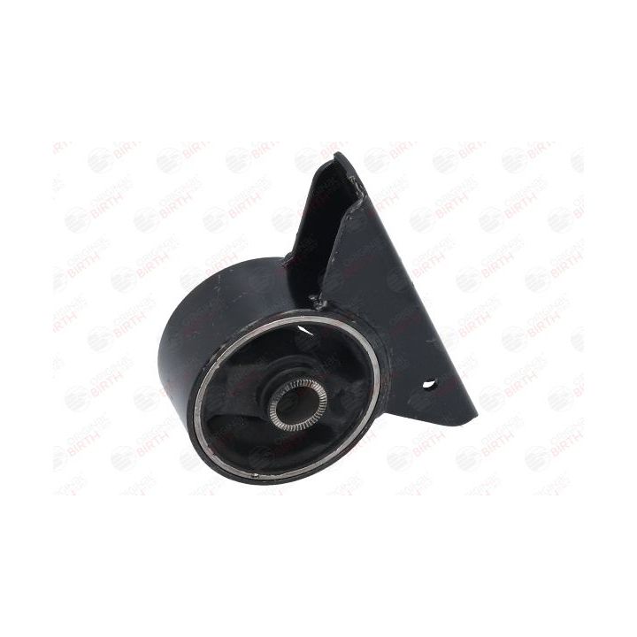 Variklio montavimas BIRTH 52368