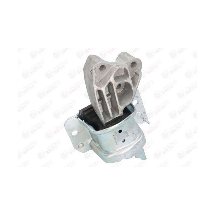 Variklio montavimas BIRTH 52471