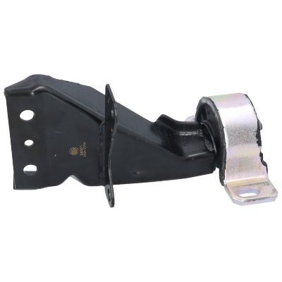 Variklio montavimas BIRTH 52501