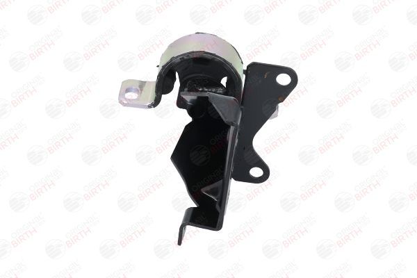 Variklio montavimas BIRTH 52501