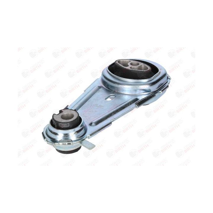 Variklio montavimas BIRTH 52531