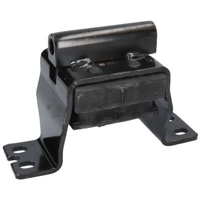 Variklio montavimas BIRTH 52543