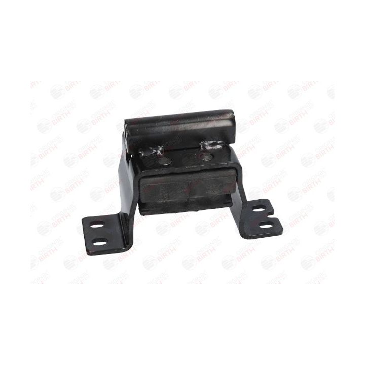 Variklio montavimas BIRTH 52543