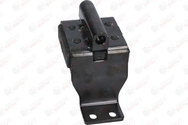 Variklio montavimas BIRTH 52543