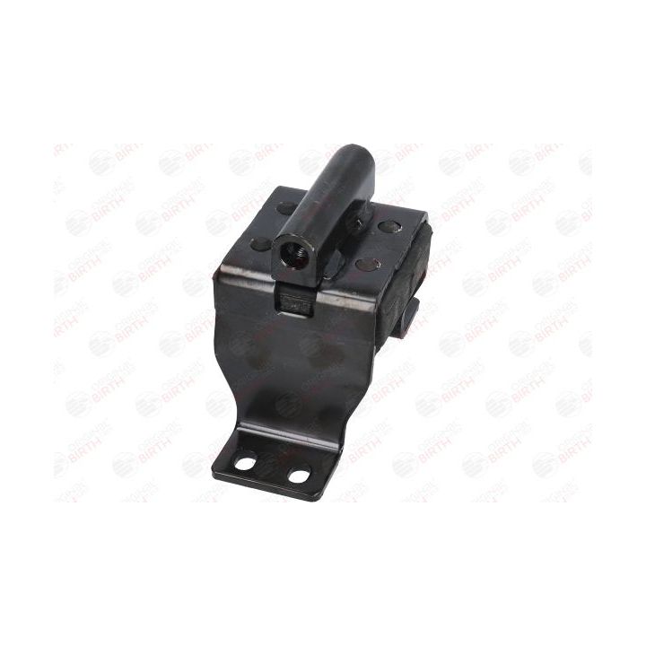 Variklio montavimas BIRTH 52543