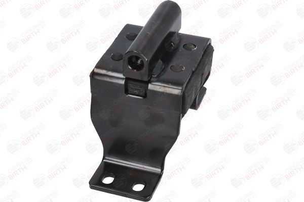 Variklio montavimas BIRTH 52543