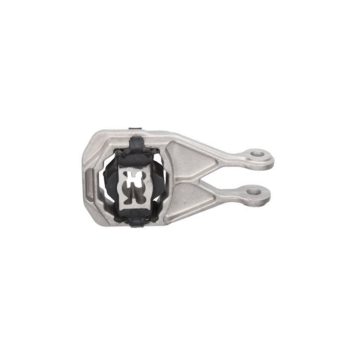 Variklio montavimas BIRTH 52544