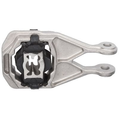 Variklio montavimas BIRTH 52544