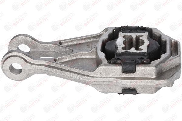 Variklio montavimas BIRTH 52544