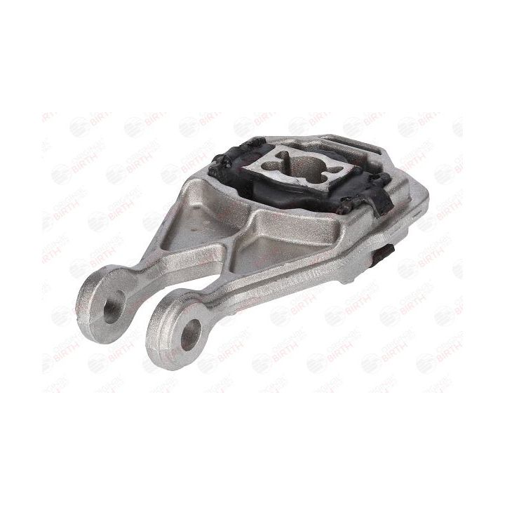 Variklio montavimas BIRTH 52544