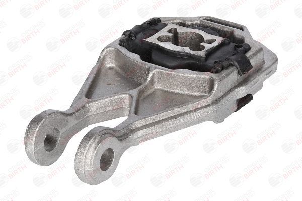 Variklio montavimas BIRTH 52544