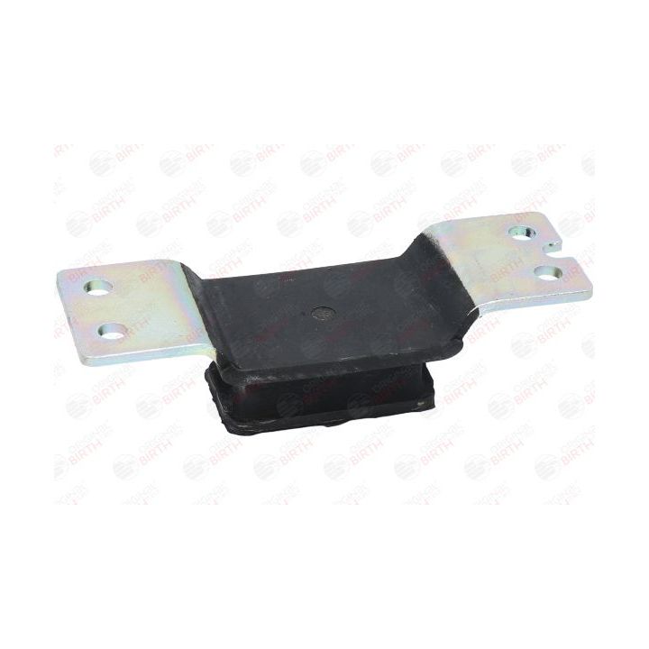 Variklio montavimas BIRTH 52550