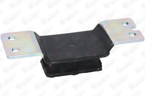 Variklio montavimas BIRTH 52550