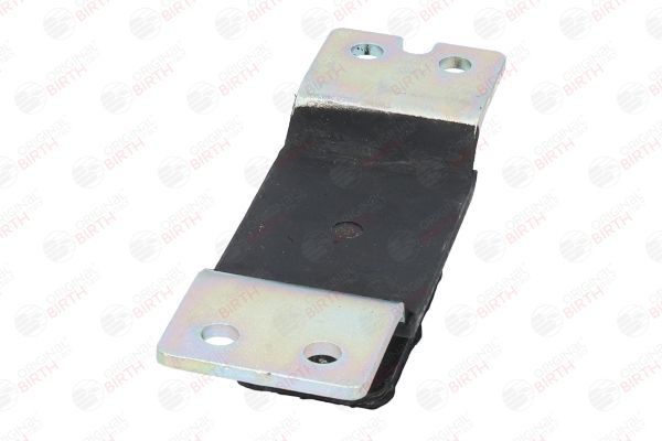 Variklio montavimas BIRTH 52550