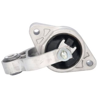 Variklio montavimas BIRTH 52556