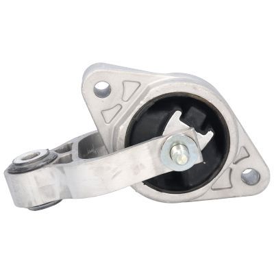 Variklio montavimas BIRTH 52556