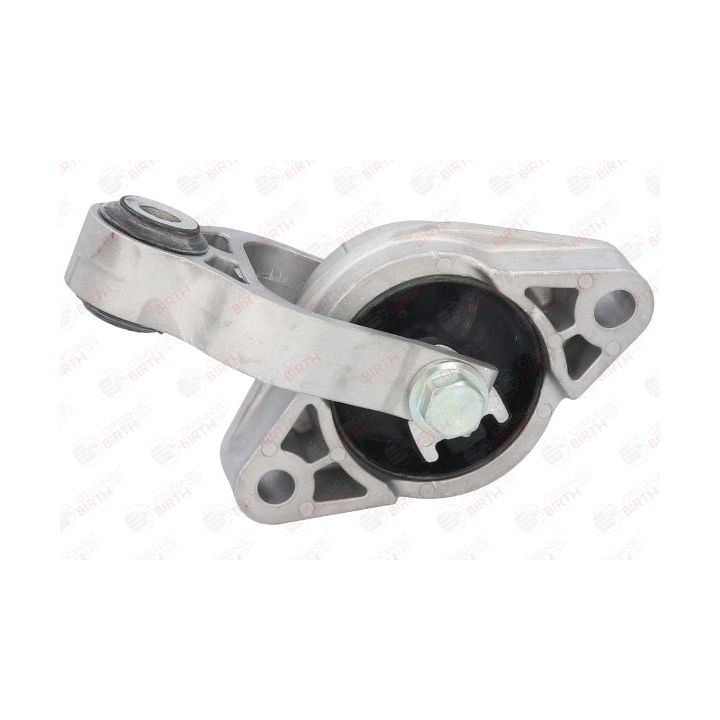 Variklio montavimas BIRTH 52556