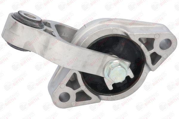 Variklio montavimas BIRTH 52556