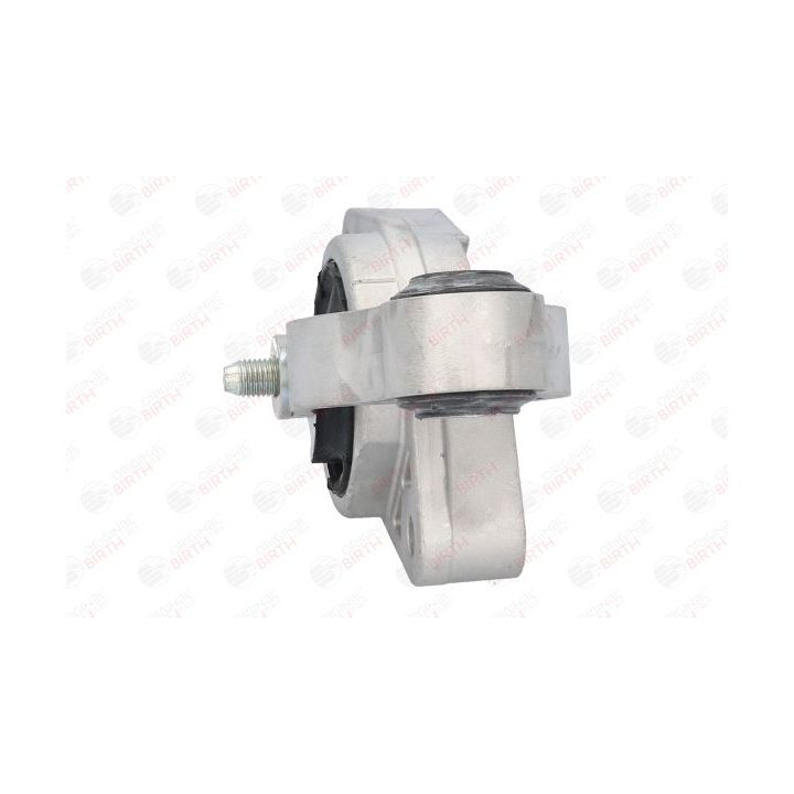 Variklio montavimas BIRTH 52556