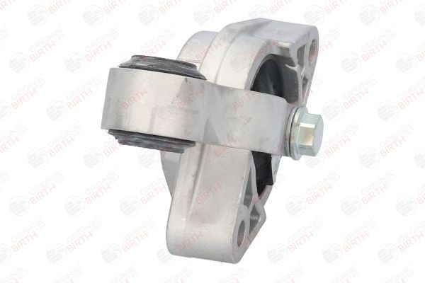 Variklio montavimas BIRTH 52556