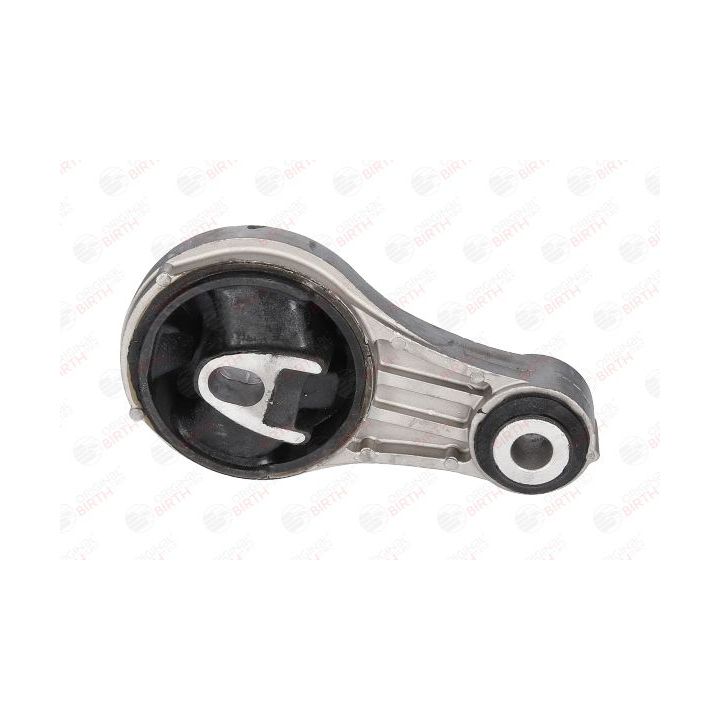 Variklio montavimas BIRTH 52559