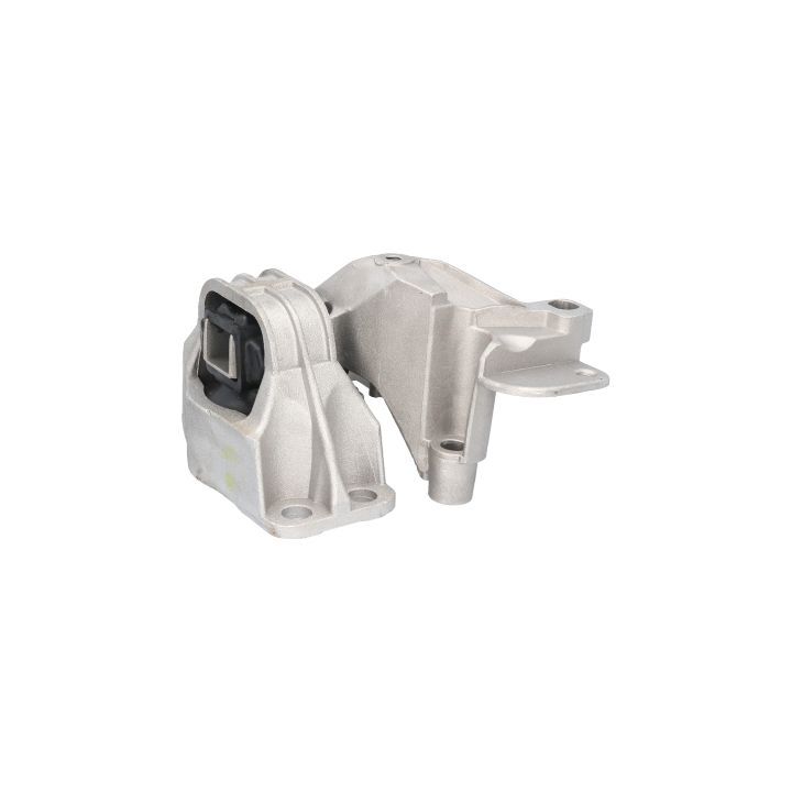 Variklio montavimas BIRTH 52599