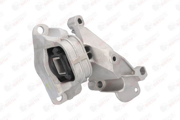 Variklio montavimas BIRTH 52599