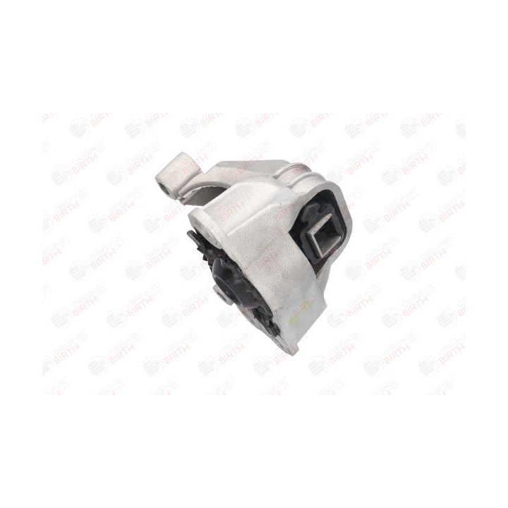 Variklio montavimas BIRTH 52599