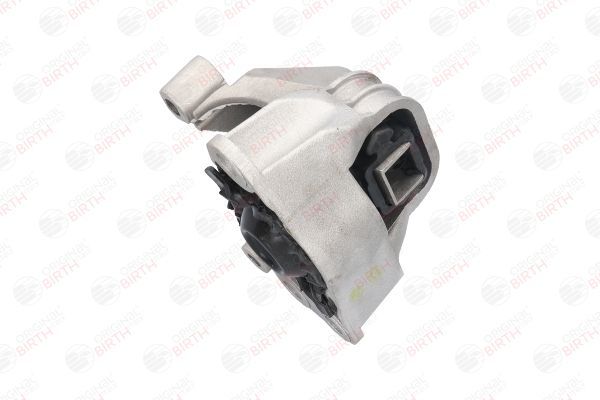 Variklio montavimas BIRTH 52599