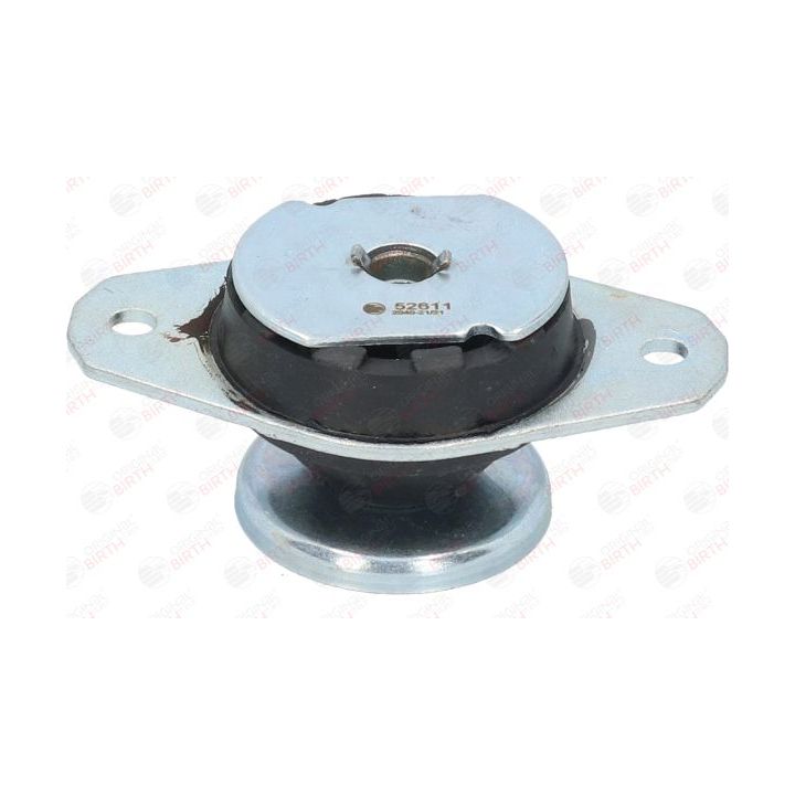 Variklio montavimas BIRTH 52611