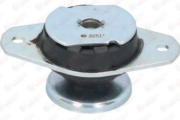 Variklio montavimas BIRTH 52611