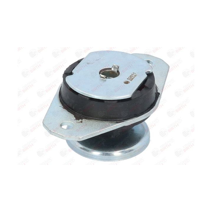 Variklio montavimas BIRTH 52611