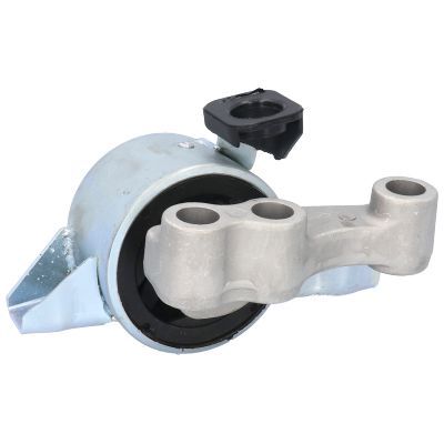 Variklio montavimas BIRTH 52630