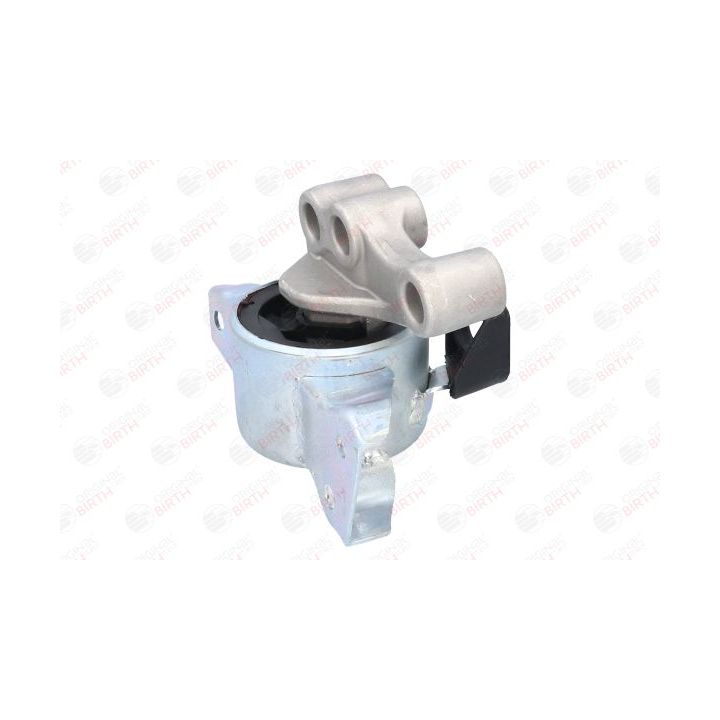 Variklio montavimas BIRTH 52630